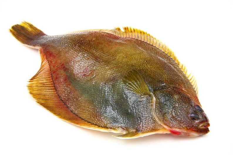 Kopač